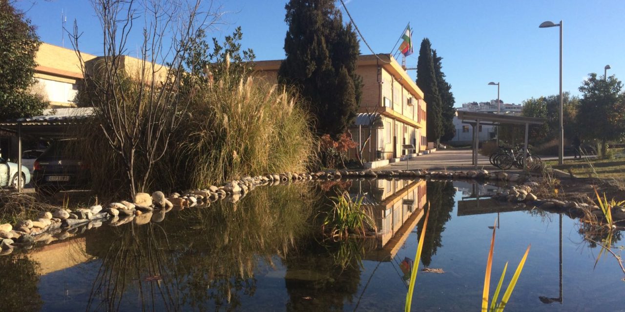 CHARCA DEL IES LA MADRAZA