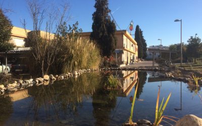 CHARCA DEL IES LA MADRAZA