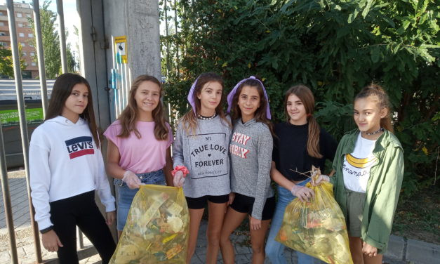 Batida de limpieza (2019/10/11)