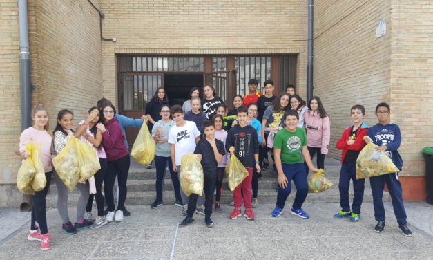 Batida de limpieza (2019/10/22)