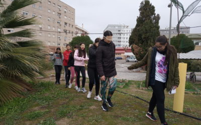 Día por la eliminación de la violencia contra la mujer 2019