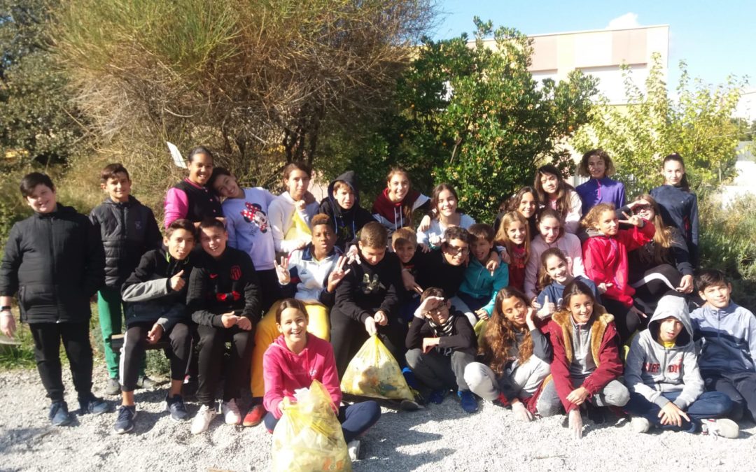 Batida de limpieza (2019/11/08)
