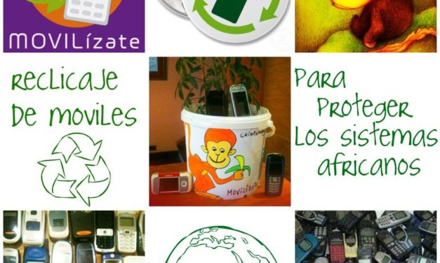 Movilízate por la selva en el recreo de hoy viernes, 24 de enero: campaña de recogida de móviles usados