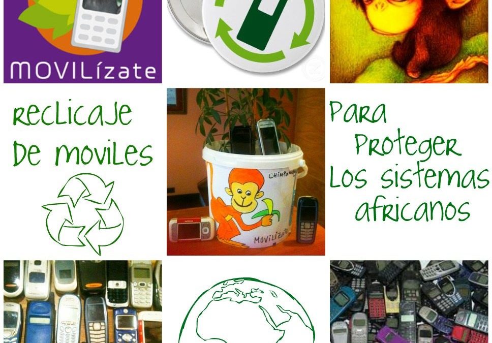 Movilízate por la selva en el recreo de hoy viernes, 24 de enero: campaña de recogida de móviles usados