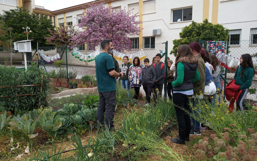 Huerto escolar: ideas
