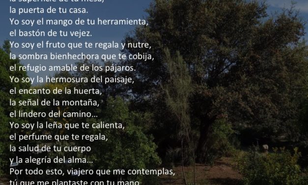 Día del Árbol y Día de la Poesía