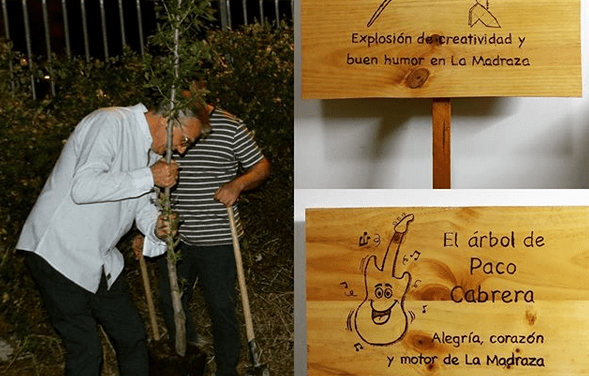 Árboles frutales junto al huerto escolar