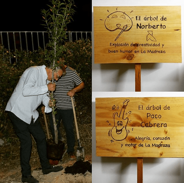 Árboles frutales junto al huerto escolar