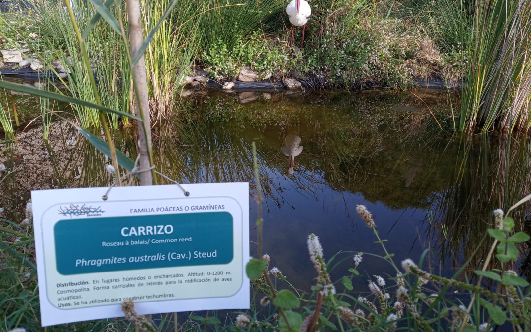 Renovación de la cartelería del jardín botánico