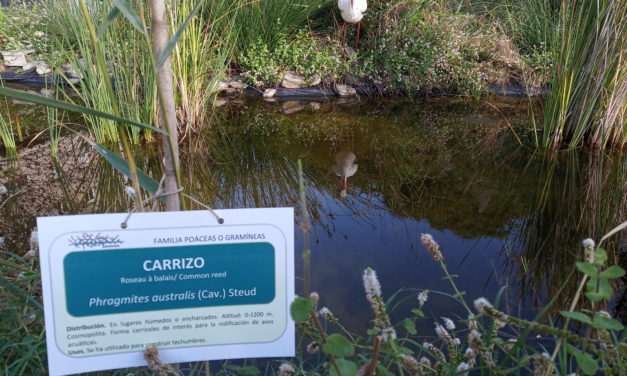 Renovación de la cartelería del jardín botánico