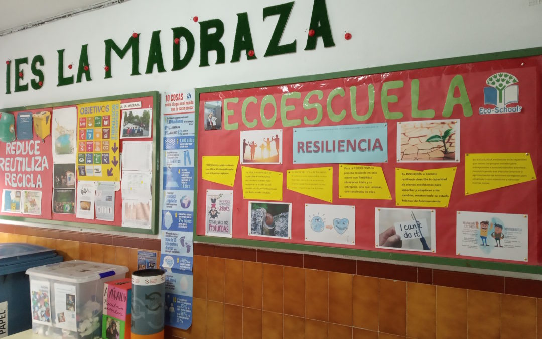 Comité Ambiental (2021/01/19)