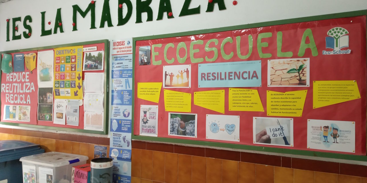 Comité Ambiental (2021/01/19)