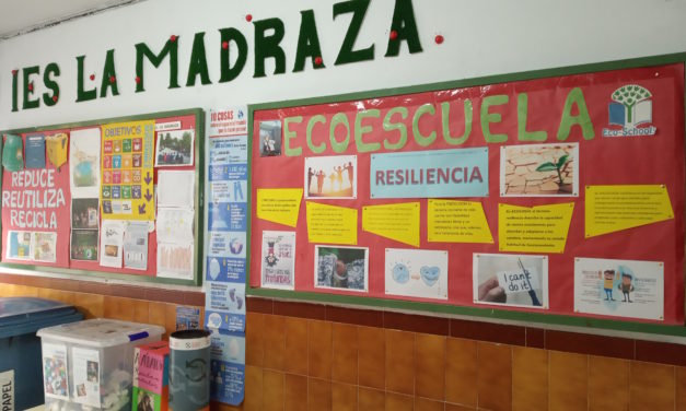 Comité Ambiental (2021/01/19)