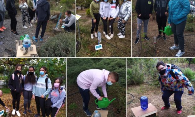 Proyectos de riego por goteo