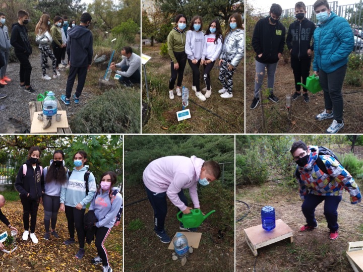 Proyectos de riego por goteo