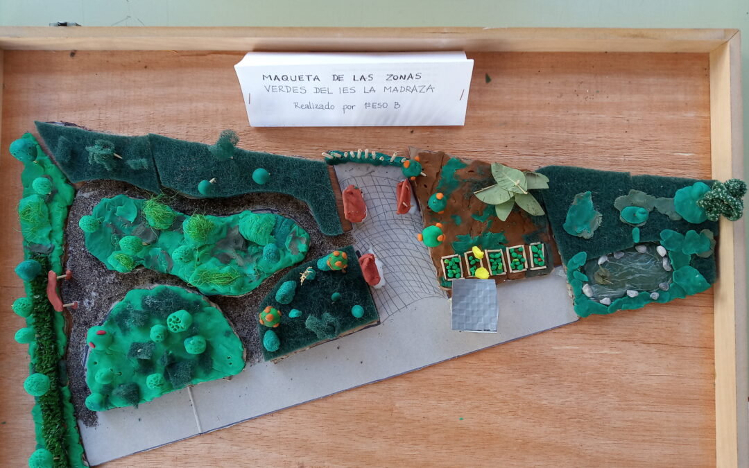 Maqueta de las zonas verdes del Instituto