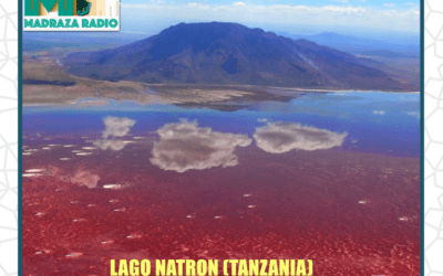 Programa 21 de Radio la Madraza: Lago Natron y Mercadillo de valores