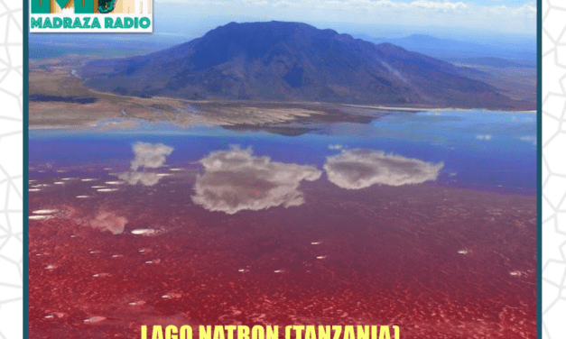 Programa 21 de Radio la Madraza: Lago Natron y Mercadillo de valores