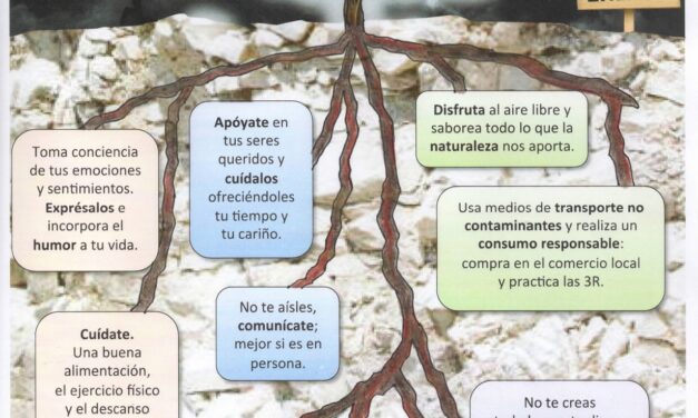 Código de conducta sobre resiliencia