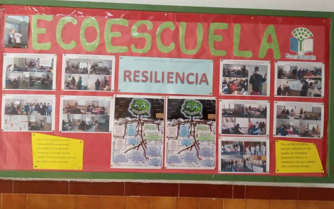 Comité Ambiental (2021/04/27)