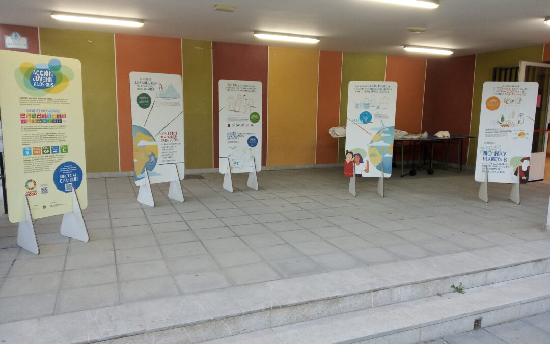 Acción juvenil por los ODS