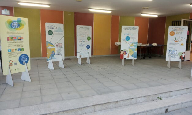 Acción juvenil por los ODS
