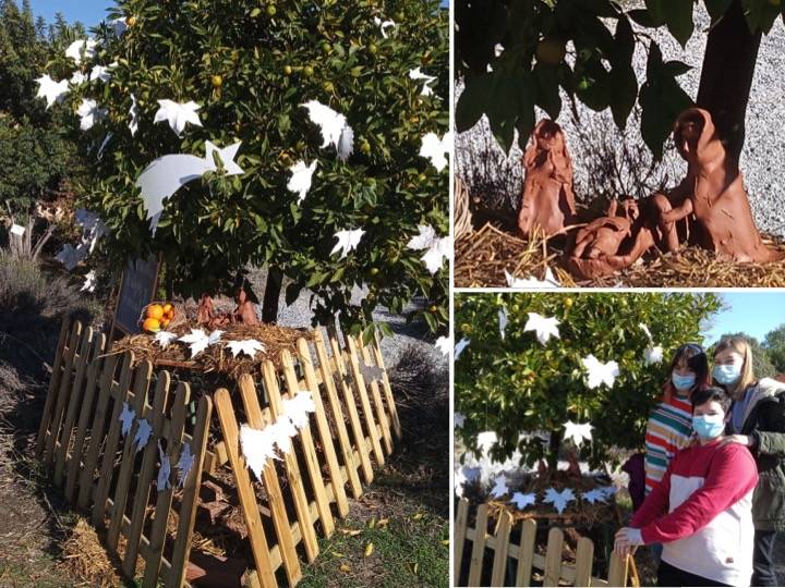 Naranjo navideño