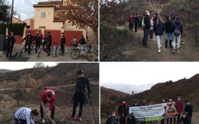 Reforestación por 2º Bachillerato