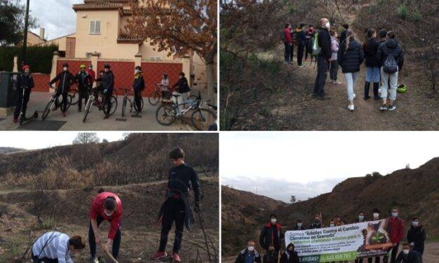 Reforestación por 2º Bachillerato
