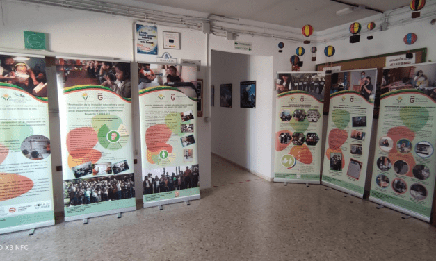 EXPOSICIÓN DÍA INTERNACIONAL DE LAS PERSONAS CON DISCAPACIDAD