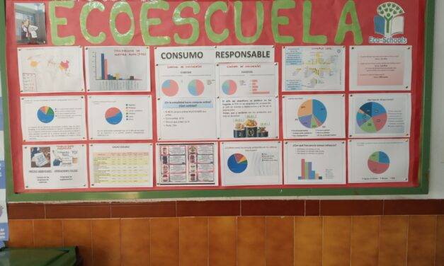 Ecoauditoría sobre el consumo responsable
