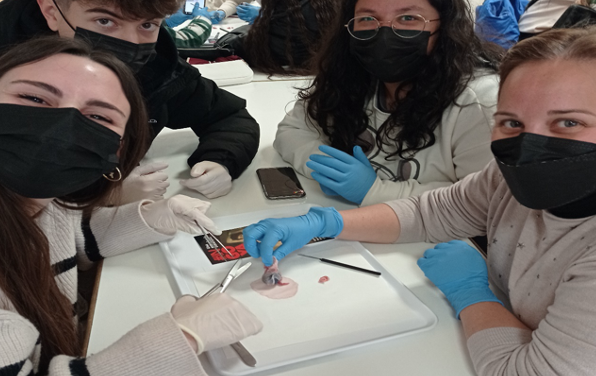 VISITA AL PARQUE DE LAS CIENCIAS PARA EL ALUMNADO DE 1º DEL CICLO FORMATIVO