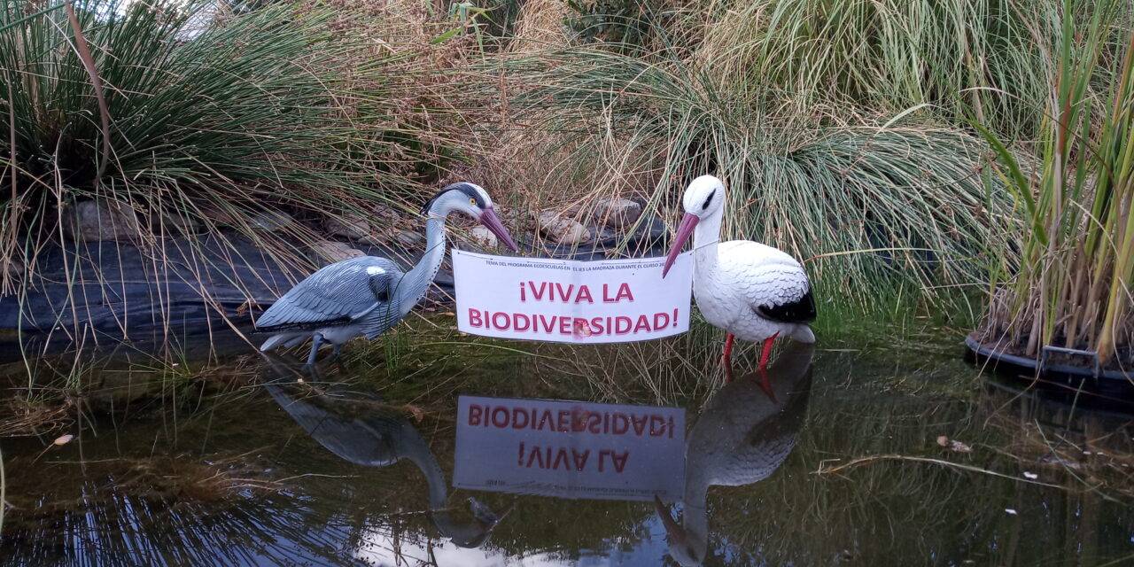 Comité Ambiental (2023/02/06)