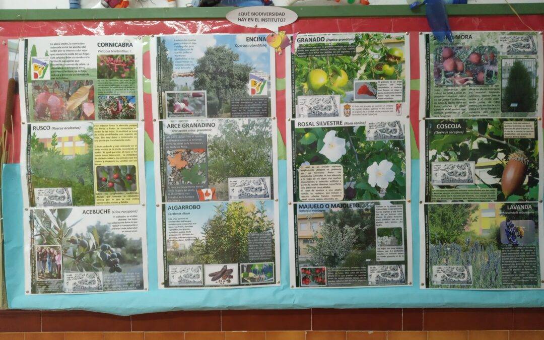 Comité Ambiental (2022/11/07)