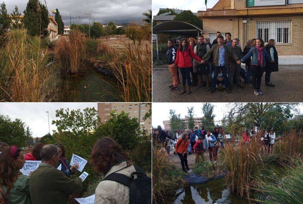 Curso sobre naturalización de patios escolares