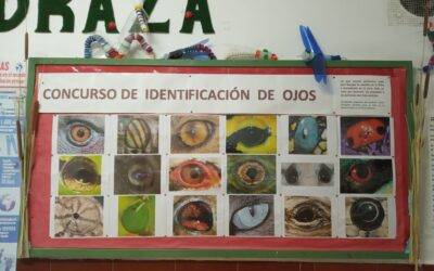 Concurso de identificación de ojos