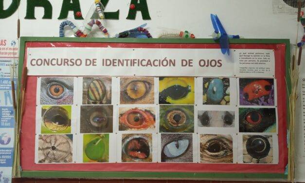 Concurso de identificación de ojos
