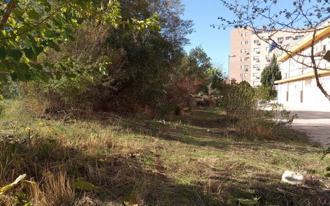 La charca y el jardín en otoño de 2022