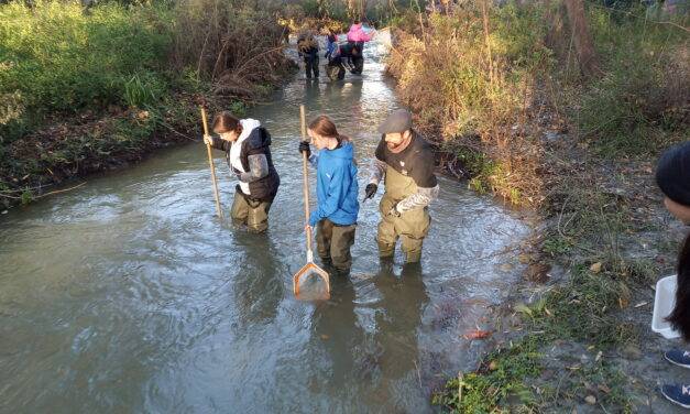 Estudio del río Genil en Cenes