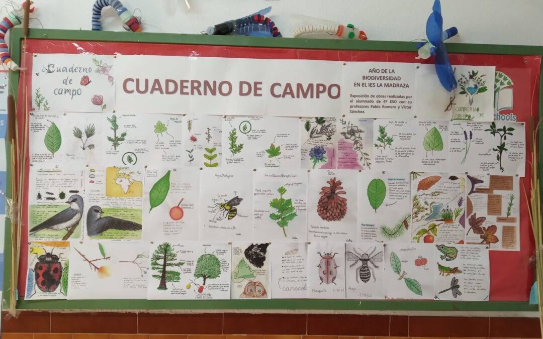 Cuadernos de campo