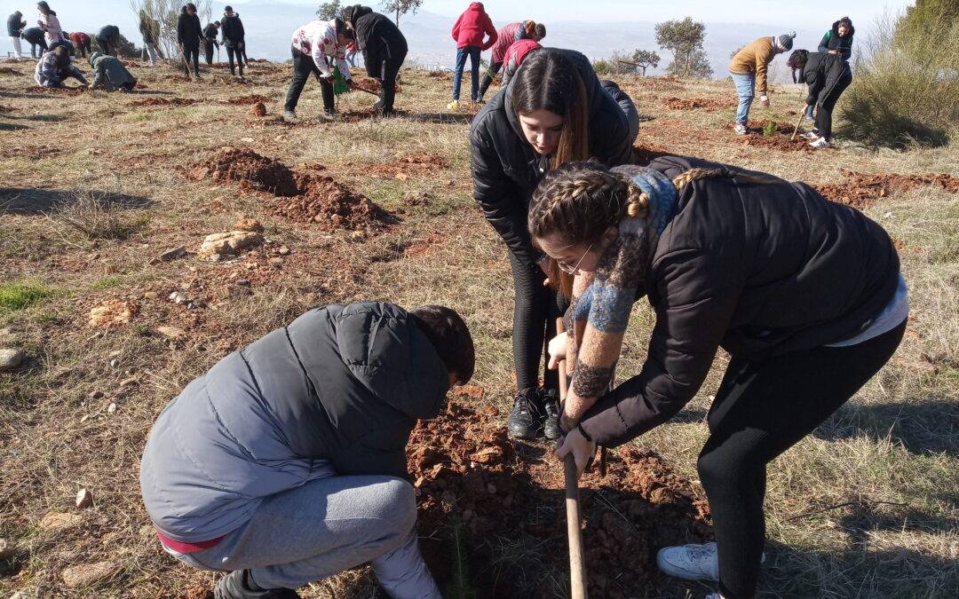 Reforestación 2023