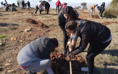 Reforestación 2023