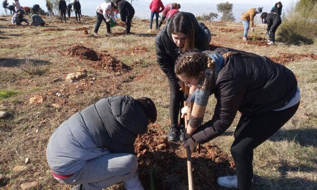 Reforestación 2023