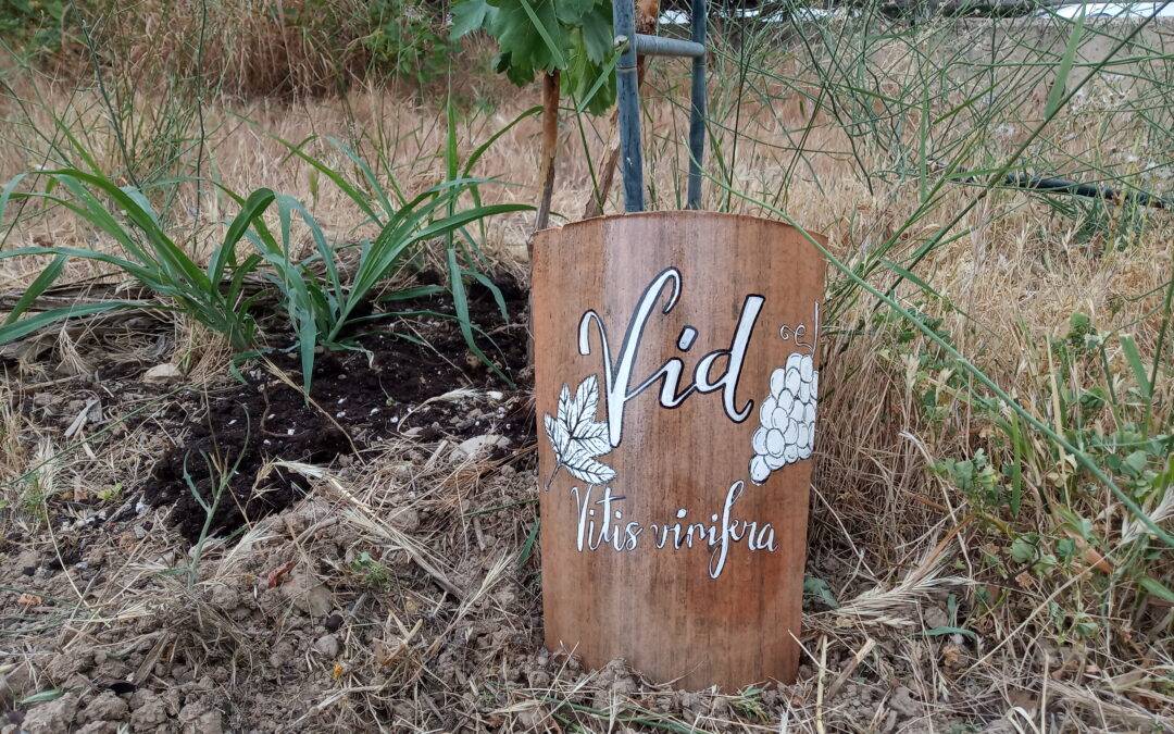 Rótulos para los árboles frutales