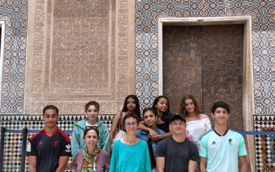 Visitantes de Isla Reunión