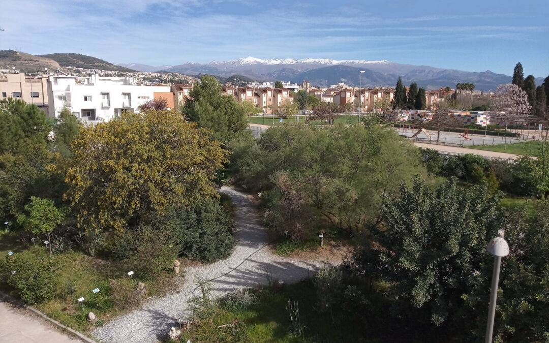 Materiales curriculares «Biodiversidad en los espacios verdes del IES La Madraza»