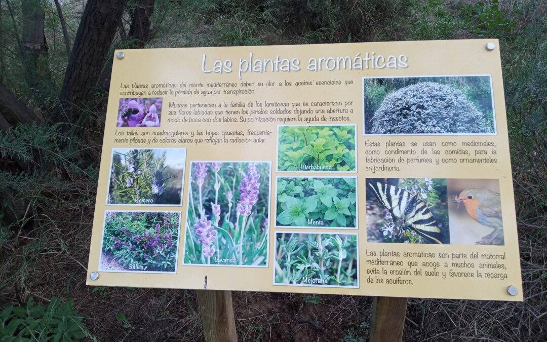 Paneles informativos en el jardín botánico