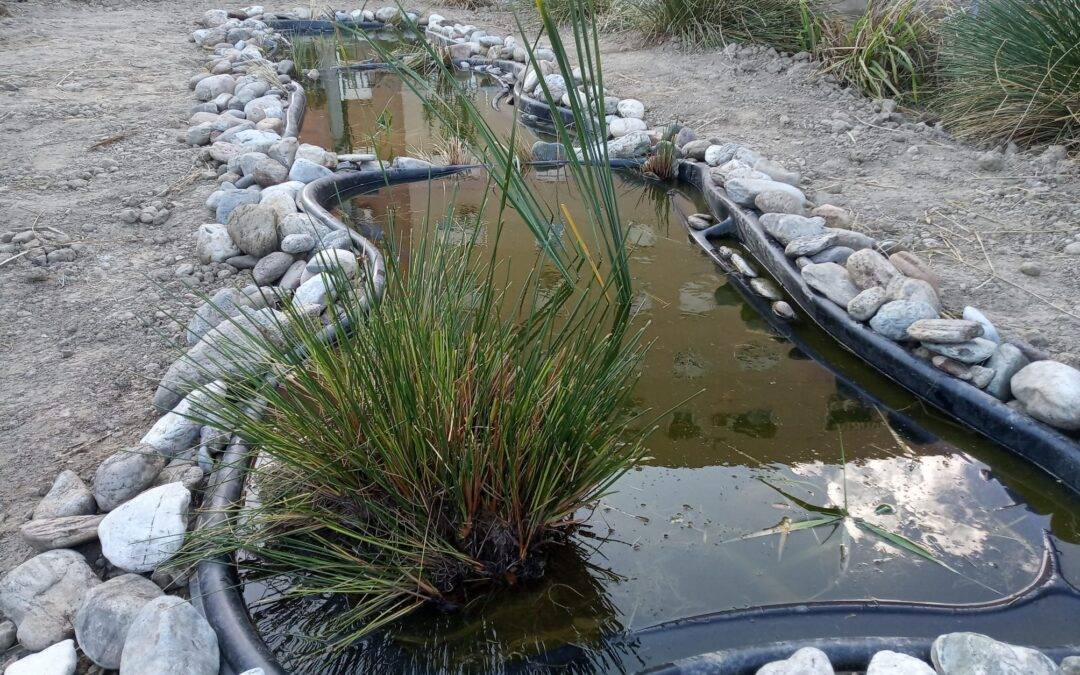 Remodelación de la charca de La Madraza