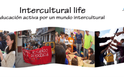 Programa 210.