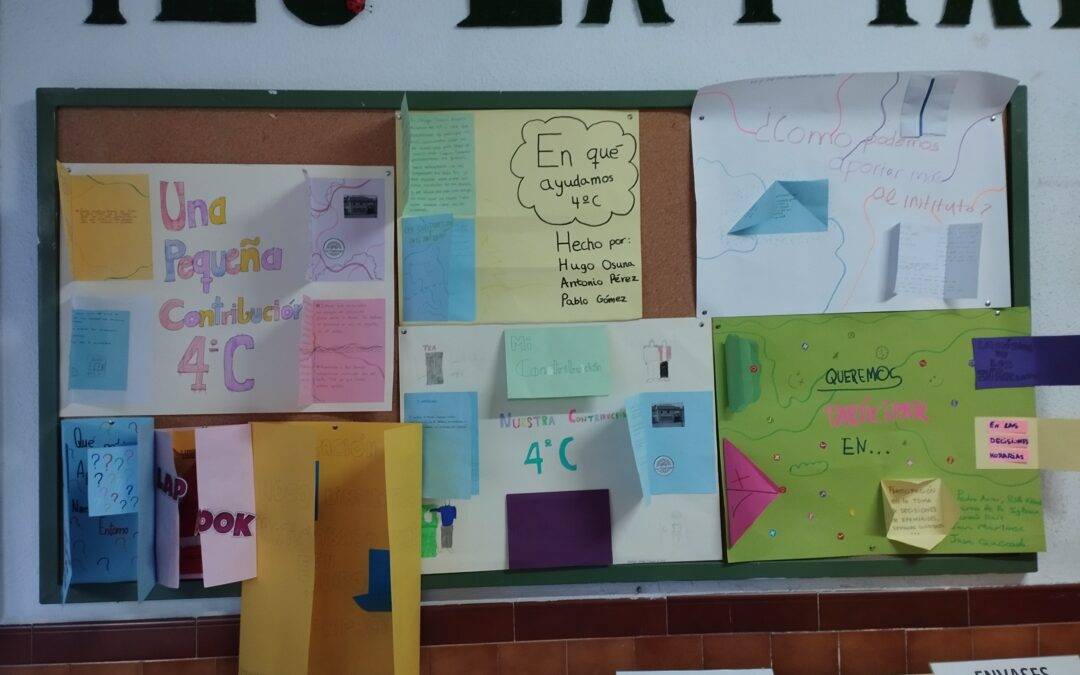 Ecoauditoría sobre participación